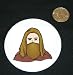 3" button / pin printed with robes, middle east, covered, arabia, turban, hat, woman, muslim, islam