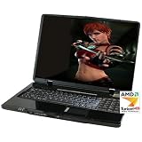 AMNB-P10058 17-Inch Laptop (AMD Mobile 64X2 Turion TL-60 (2.0GHz), 4GB DDR2-667, Radeon HD 2600 512MB DDR2, 250GB HDD, DVD +- R/RW, Vista Home Premium)