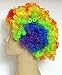 Rubie's Costume Humor Value Clown Wig