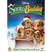 Santa Buddies (Widescreen) (Dual-layered DVD)