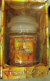 516jcz2y0%2BL. SL160  Essenza Tangy Tangerine Scented Candle for Sophisticated and Discerning Candle Aficionados
