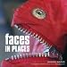 Search : Faces in Places: A Photographic Collection of Faces found in Everyday Places