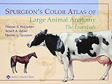 Spurgeon's Color Atlas of Large Animal Anatomy: The Essentials