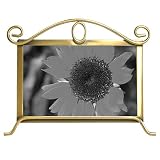 Review Fetco  / Alton Arched Top Frame - Tuscan Gold (6x4