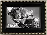 IMAGE OF Keith Kimberlin Jewelry Music Box Kittens In Hammock