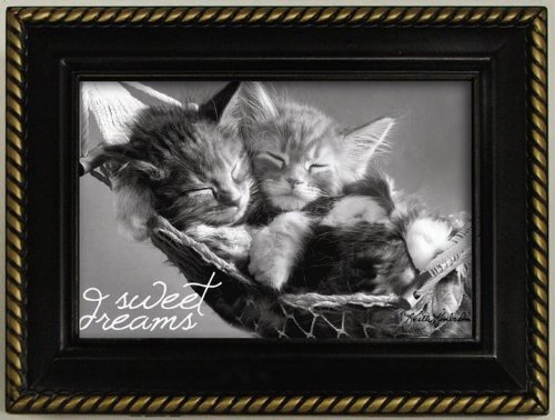 Keith Kimberlin Jewelry Music Box Kittens In Hammock