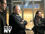 Csi: NY: Blood Out