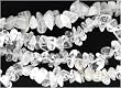 36 inch Endless Chip Necklace (approx. 8mm) - Crystal Quartz