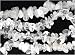 36 inch Endless Chip Necklace (approx. 8mm) - Crystal Quartz