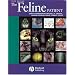 Advanced Cat Care Resources and Inspiration for Cat Rescuers