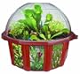 DuneCraft Dome Terrariums - Carnivorous Plants