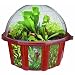 DuneCraft Dome Terrariums - Carnivorous Plants