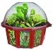 DuneCraft Dome Terrariums - Carnivorous Plants