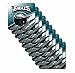 NFL Philadelphia Eagles Premium Coaster Set