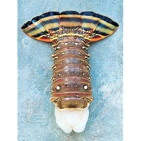 8-10 oz Brazilian Lobster Tails