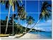 Beach Photo Ceramic Tile Mural B050 | 24x32 using (12) 8x8 tiles