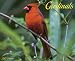 Amazon price tracker, Amazon price history charts, Cardinals 2012 Calendar