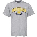 Michigan Wolverines Ash School Pride T-shirt