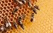 Beeswax. Cera Alba. 1kg (Base Product).