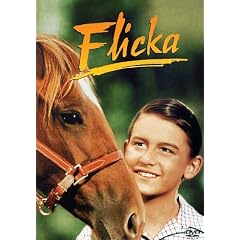 Flicka