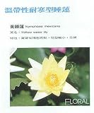 Taiwan Floral Art