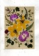 Handmade Greeting Card - Birthday, Anniversary, Easter, Mothers Day or Any Occasion Real Flower Greeting Card - Set of 5 Pressed Flower Cards