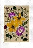 Handmade Greeting Card - Birthday, Anniversary, Easter, Mothers Day or Any Occasion Real Flower Greeting Card - Set of 5 Pressed Flower Cards