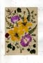 Handmade Greeting Card - Birthday, Anniversary, Valentines Day, Easter, Mothers Day or Any Occasion Real Flower Greeting Card - Set of 5 Pressed Flower Cards