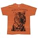 Search : The Hangover - Tigers T-Shirt
