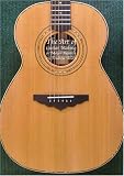The art of guitar making & major repairs