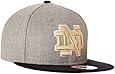 NCAA Notre Dame Fighting Irish Bind Back 9Fifty Snapback Cap, Small/Medium, Gray