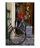 All For Sale Seasons Photographic Poster Print by Stanislava Kyselova, 20x24