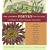The Caedmon Poetry Collection: A Century of Poets Reading Their Work