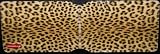 Leopard print Oyster card holder