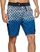 Quiksilver Ando Flint 19BS Men's Swim Shorts