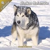 Kalender 2011 Alaskan Malamute