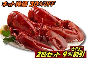 特大活ロブスター（オマール海老[エビ]）アメリカ東海岸産 450g 2尾