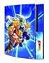 PS3 Dragonball Z Gohan Group Skins