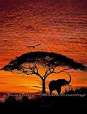 African Sunset Wall Mural