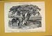 1850 HUNTING SPORT HOUNDS HORSES MEN DOGS TREES COUNTRY