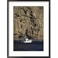 Sportfishing Boat, Guadalupe Island, Mexico Collections Framed Photographic Poster Print, 21x29