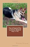 New and Improved How to Train and Understand your German Shepherd Puppy or Dog