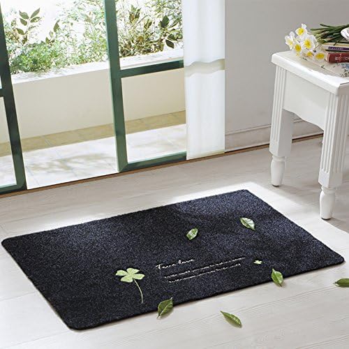 Door mat at the door/Mat/The bathroom antiskid mat Hall/Bathroom bedroom bedside mat-X 60x90cm(24x35inch)