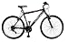 New 2010 Reflex Matrix Front Suspension Gents, 18 Speed 19"...