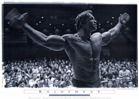 Pumping Iron Poster Movie E