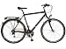 Vermont Kinara Herren (2010) Trekking Fahrrad Trekkingrad Reiserad 28 Zoll Fahrräder Herren