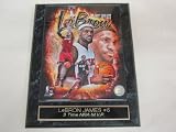 Miami Heat LeBron James 3 Time NBA MVP Collector Plaque w/8x10 Photo Amazon.com