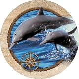 Set of Four Dolphin Duo Thirstystone Drink Coasters - Style TS2228