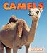 Books : Camels (New Naturebooks)