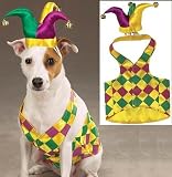 Zack & Zoey Mr. Jester Costume Lrg